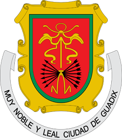 Ayuntamiento de Guadix